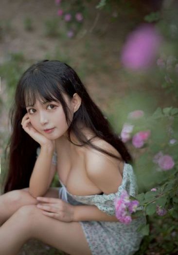 噬血狂袭第一季_1080PBD在线观看