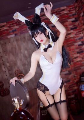免费视频网页版_DVD在线观看高清